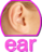 buttonEAR